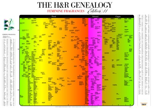 H&R Genealogy feminin notes